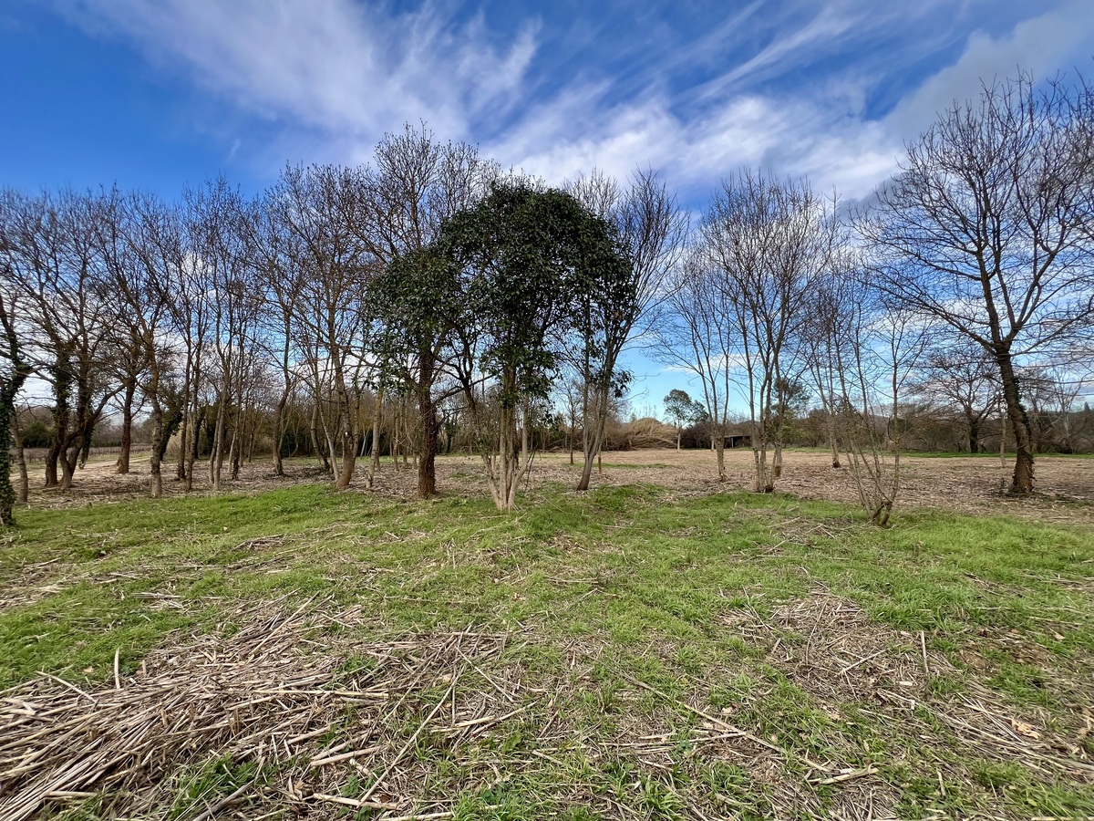 Terrain non constructible - Pierrefeu-du-Var